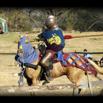 Even The Horses Disrespect the Camera!