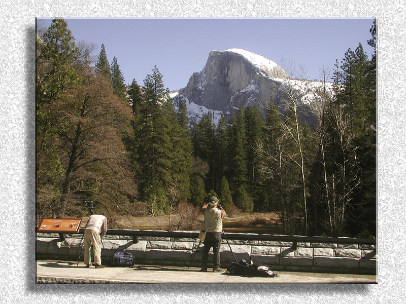 Yosemite Photographers...