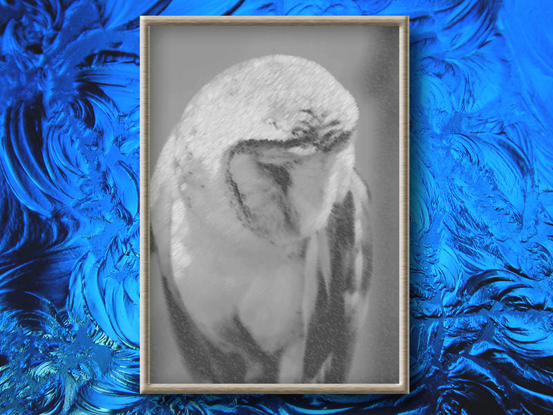 Owl On Blue...