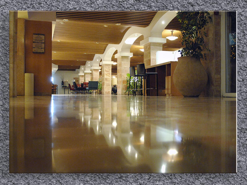 Ramon Hotel Lobby...