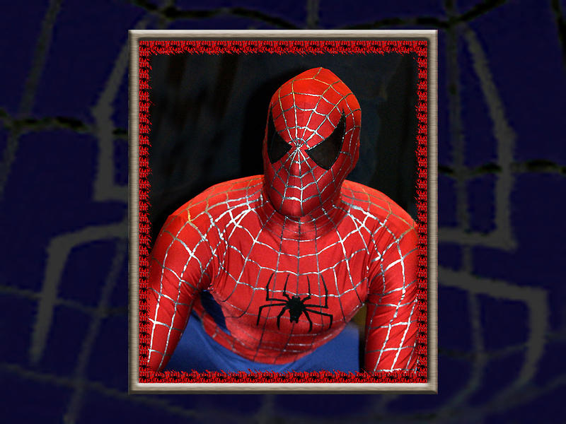 Spidey In a Frame...