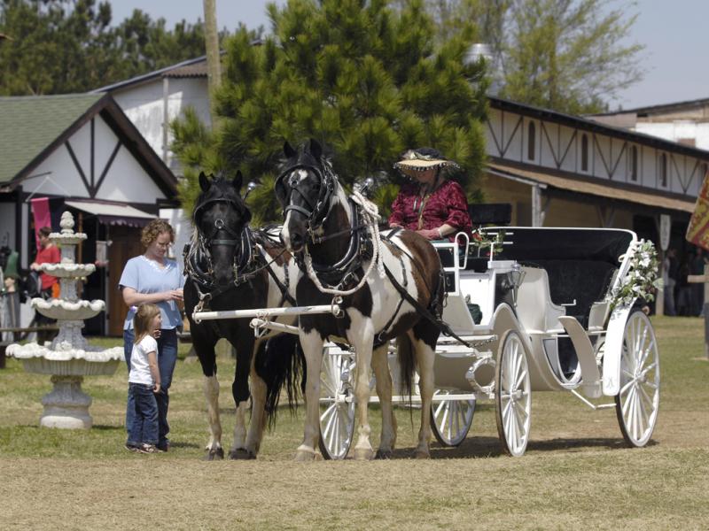 Nice Carriage... 