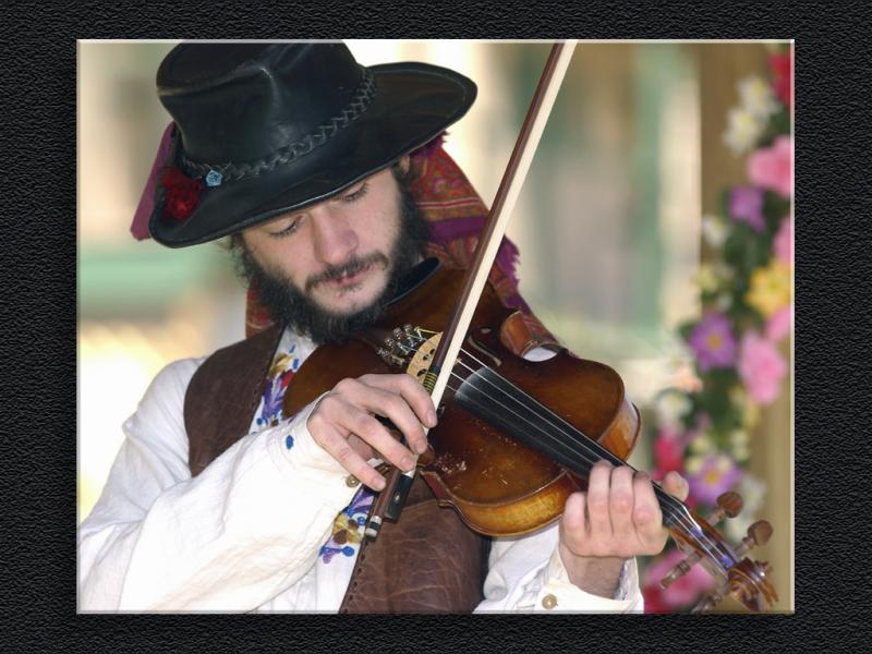 Fiddle Player...