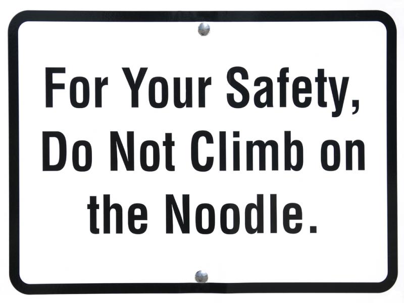 Don't Mess With Their Noodle!!!