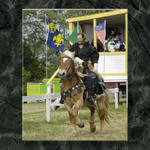 Full Gallop...