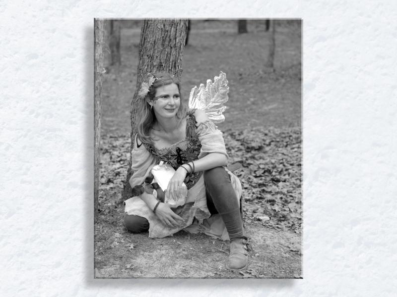 Crouching Faerie... Where's the Hidden Dragon???