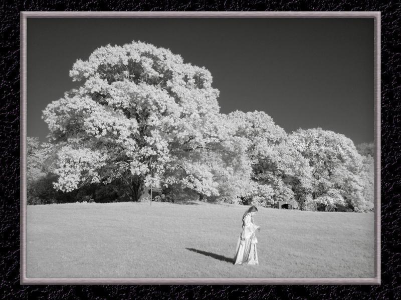 Infrared at Four Winds...