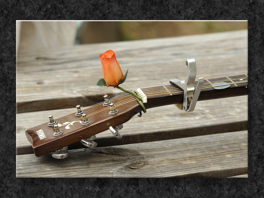 Poetic Instrument...