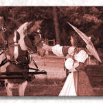 Nice Horsie...