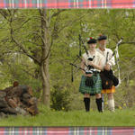 Pipers In the Woods...