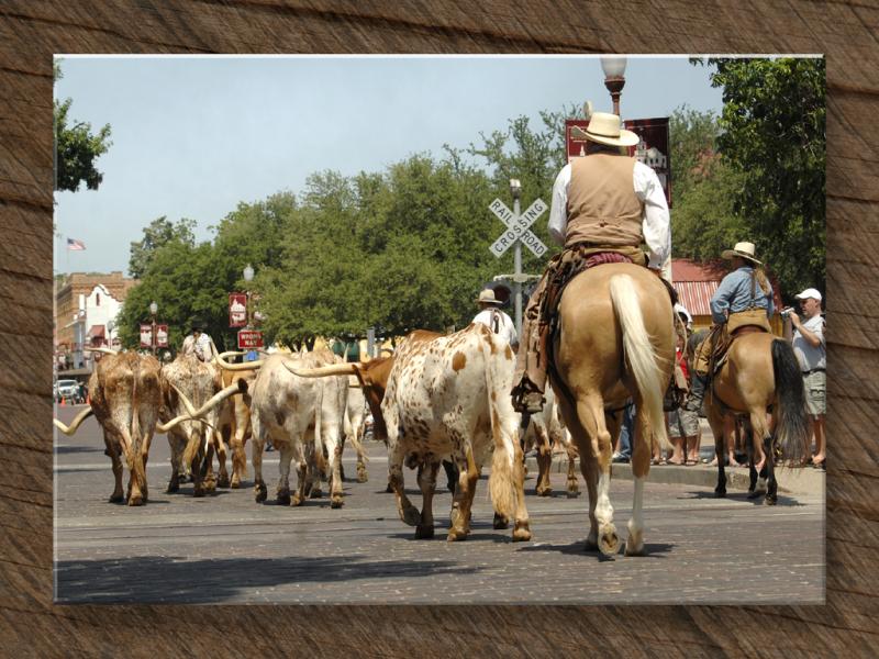 End of the Cattle Drive (Tail End, That Is)...