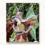 Very Well Known Faerie...