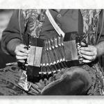 Beautiful Squeezebox Music...