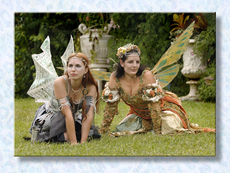 Faeries Which Way Did They Go???