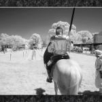 Ready For Joust in IR...
