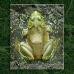 Froggie #1...