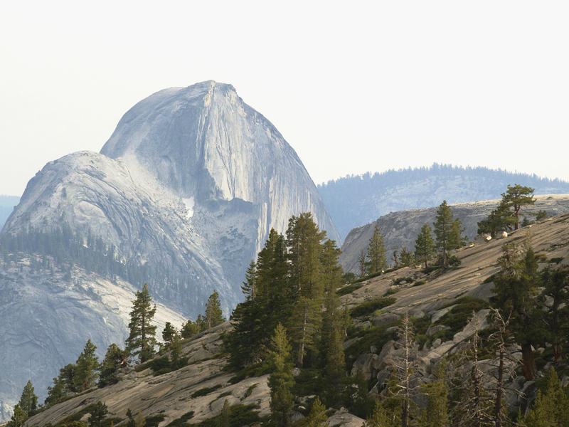 Half Dome From the Tioga Side...