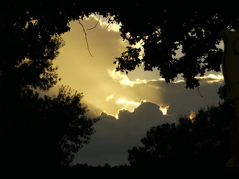 Sunset Through the Trees...
