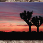 Sunset In the Antelope Valley...