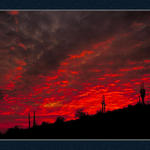Tucson Sunset...