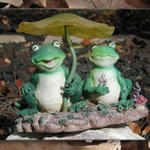 Frogs In the Garden...
