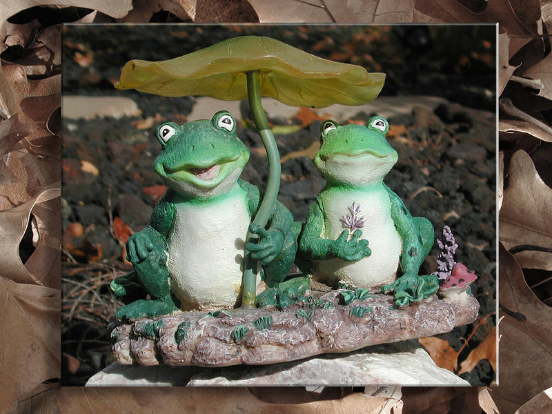 Frogs In the Garden...