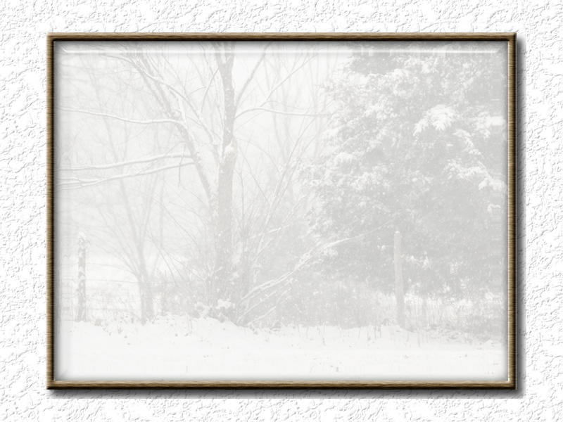 Home In the Snow #1...