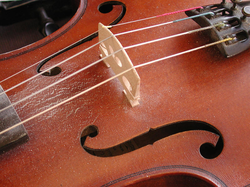 Violin Up Close...