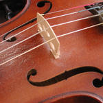 Violin Up Close...