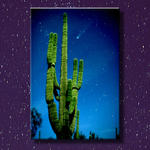 Cactus and Comet in Saguaro NP...