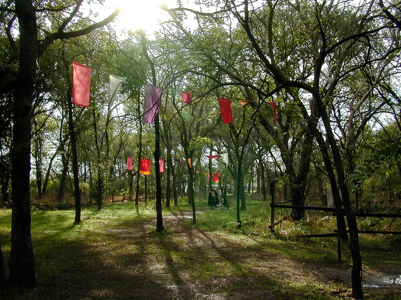 Woods And Banners At Hawkwood...