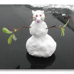 Snow Rat...