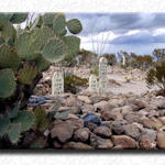 Tombstone Grave Yard 2...
