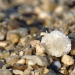 Salty Ball In the Dead Sea...