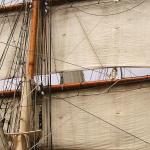 Sails of the Elissa...