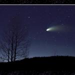Aspen and Comet...