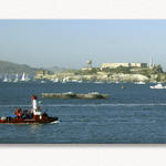 Alcatraz By Water...