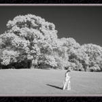 Infrared at Four Winds...