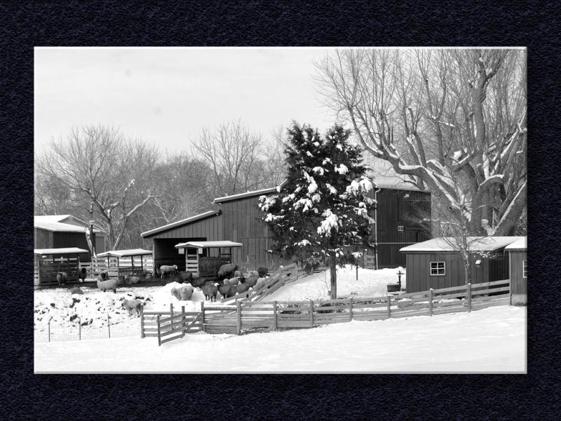 Winter Farm Land...