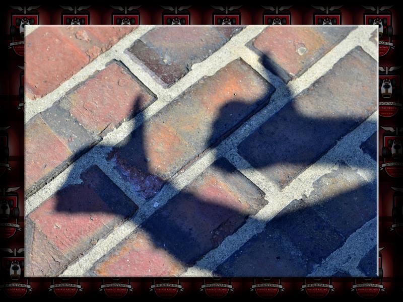 Shadows On the Brickyard...