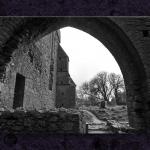 Wide View of  a Hore Abbey Arch...
