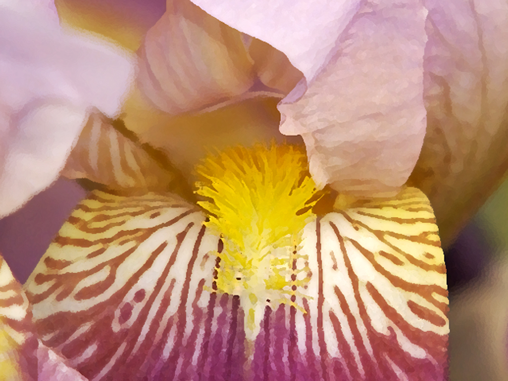 Floral1824cs7