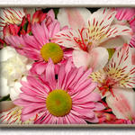Floral8066bs7