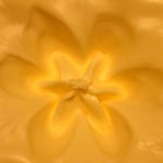 Butter...