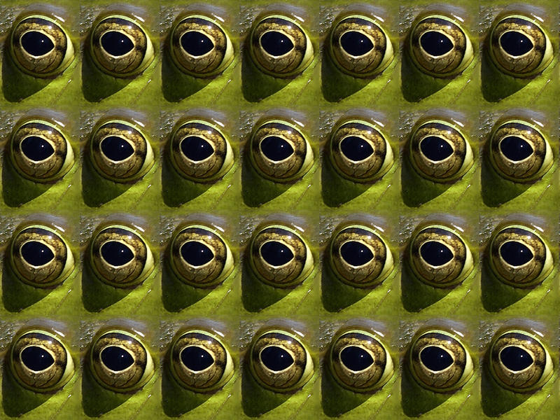 i i i i i i i i i i i i i i i i i i