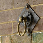 Ring At Grant's Farm Stables...