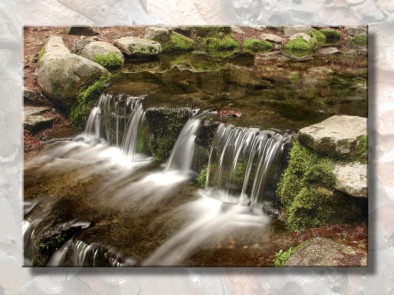 Fern Pool Micro Falls...