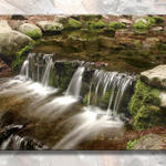 Fern Pool Micro Falls...
