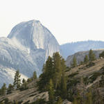 Half Dome From the Tioga Side...