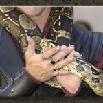 Jake the Snake #1...